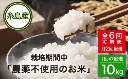 【全6回(月2回)定期便】栽培期間中 農薬不使用のお米 ヒノヒカリ 10kg 糸島市 シーブ [AHC008] 米 定期便