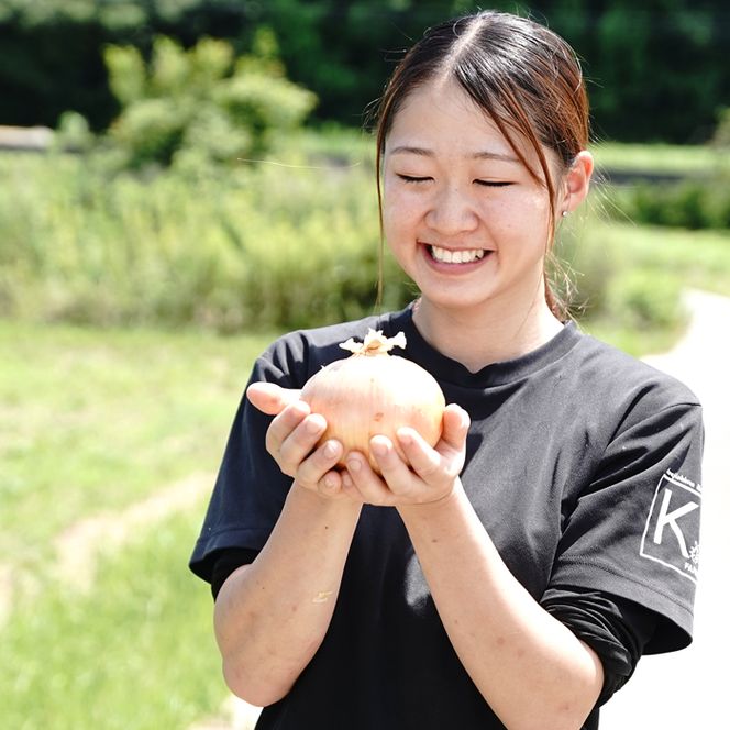 淡路島玉ねぎ 大きな2Lサイズ 5kg　玉ねぎ