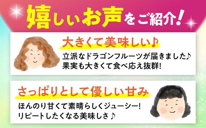 【2026年発送 先行受付】 農家直送！南国の果物 ドラゴンフルーツ 2.5kg 火龍果 果物 フルーツ デザート お取り寄せ 沖縄市 / タカエス フルーツ＆ベジタブル [BCBH002]