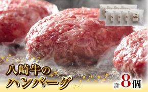 八崎牛のハンバーグ120g×8個 N0105-YZB246
