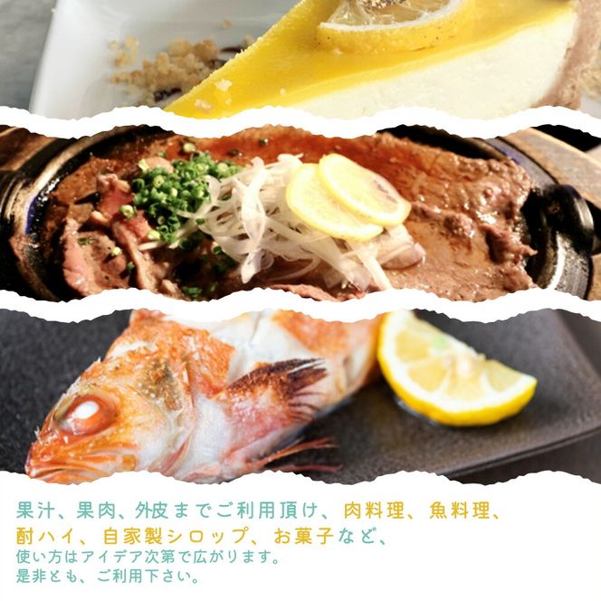 G7068_【2027年先行予約】秀品 紀州有田産レモン 2.5kg