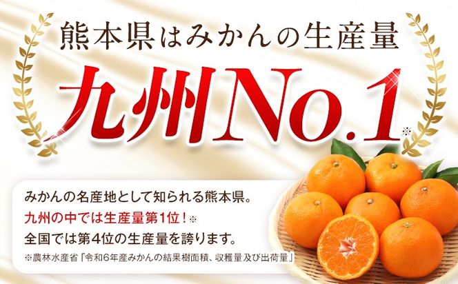 みかん 訳あり くまもとみかん 約1.5kg 約4.5kg 約9kg S-2Lサイズ サイズ混合 ご家庭用《7-14日以内に出荷予定(土日祝除く)》 訳あり みかん フルーツ サイズ混合 秋 旬 柑橘 熊本県 長洲町 熊本県産 長洲町産含む---ng_wkmkn_wx_4500_15k---