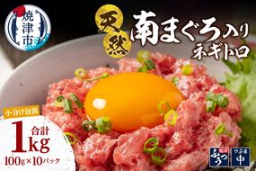 a15-710　ミナミマグロ入り マグロのたたき 100g 小分け パック セット 焼津 海の極 ネギトロ 天然 新鮮 冷凍 ねぎとろ 小分け 1kg（100g× 10パック）