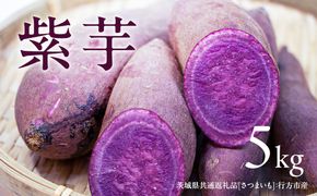 【2026年12月より発送開始】紫芋 5kg （茨城県共通返礼品 [さつまいも]：行方市産）  さつまいも 生芋 芋 いも 野菜 [BI414-NT]