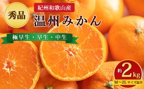 【先行予約】【秀品】紀州和歌山産 温州みかん 約2kg（箱込み） M～2L サイズ混合（極早生・早生・中生）