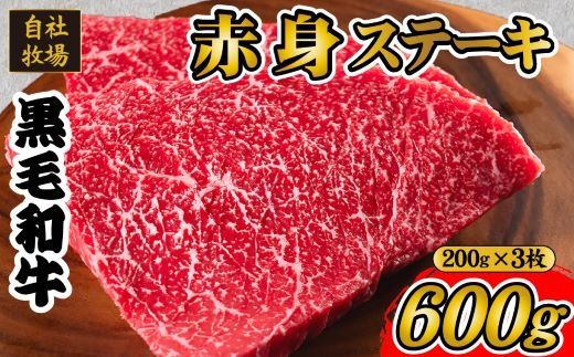 【自社牧場和牛】小林市産 黒毛和牛 赤身ステーキ 200g×3枚（牛肉 国産牛 黒毛和牛 和牛 赤身 ステーキ）