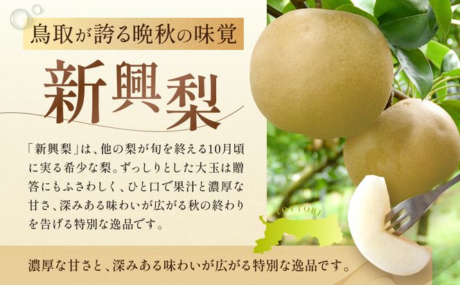 【2026年10月頃より発送】岸田秀果園 新興梨 (自家用)5kg 313726_CY008
