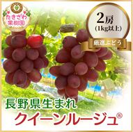 クイーンルージュ🄬 2房 1kg以上 長野 ぶどう 希少品種 ブドウ 果物 フルーツ デザート 新品種 食感 パリッ 爽やか 甘さ 超希少 種無し 皮ごと 