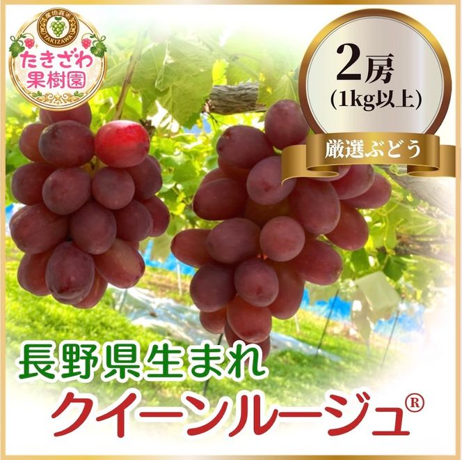 クイーンルージュ🄬 2房 1kg以上 長野 ぶどう 希少品種 ブドウ 果物 フルーツ デザート 新品種 食感 パリッ 爽やか 甘さ 超希少 種無し 皮ごと 