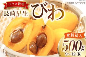 BI209 【令和9年度出荷分】赤秀 長崎 びわ 500g 温室ハウス栽培 長崎早生 [フルーツ 枇杷 ビワ 果物 化粧箱入り 季節限定 99アイランドファーム 長崎県 島原市 ]