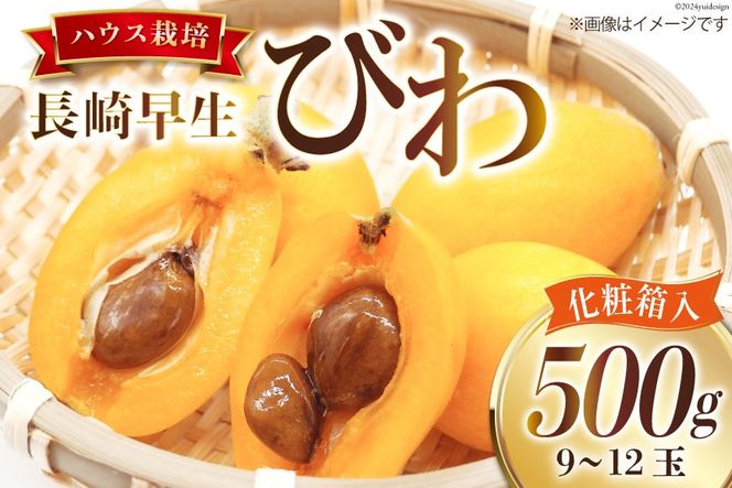 BI209 【令和9年度出荷分】赤秀 長崎 びわ 500g 温室ハウス栽培 長崎早生 [フルーツ 枇杷 ビワ 果物 化粧箱入り 季節限定 99アイランドファーム 長崎県 島原市 ]