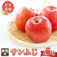 りんご 家庭用 サンふじ 約5kg フルーツ 果物 甘い 林檎