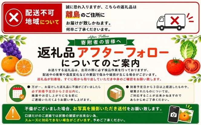フルーツ 定期便 【全3回】＼フルーツ大国和歌山からお届け／  旬のフルーツ 定期便（いちご・桃・ピオーネ）【tkb401】