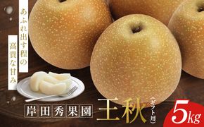 【先行予約】岸田秀果園 王秋 (ギフト用)5kg 313726_CY016