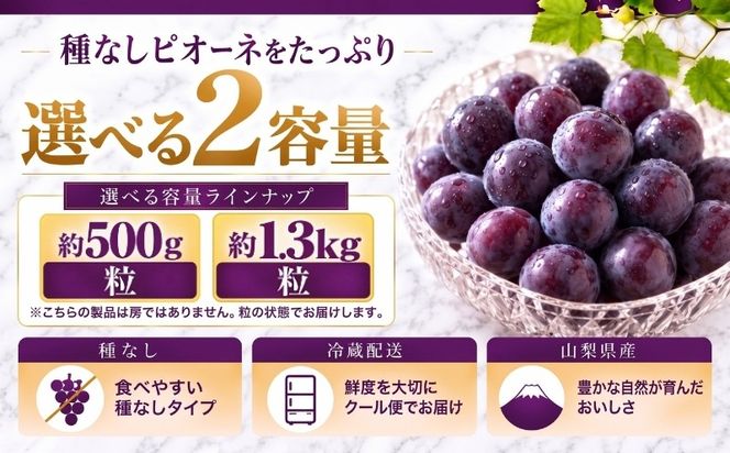 【2027年 先行予約】 山梨県産　種なしピオーネ 粒 選べる容量 約500g 約1.3kg ピオーネ 種無し ブドウ ぶどう 葡萄  フルーツ 果物 贈答 プレゼント FB059_060