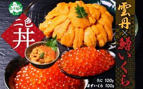 2518. うに 100g 鱒いくら醤油漬け 100g セット ウニ チリ産 冷凍 雲丹 チリ産 ますいくら 鱒 マス イクラ いくら いくら醤油漬け 海鮮 海鮮丼 送料無料 北海道 弟子屈町