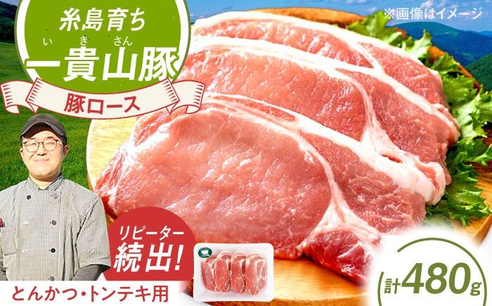 一貴山豚 ロースとんかつ・トンテキ用 計480g(120g×4枚) 糸島市 / いきさん牧場 豚肉 冷凍[AGB030] 豚肉 豚 ブランド豚 一貴山豚 ポーク ロース 生姜炒め ポークジンジャー
