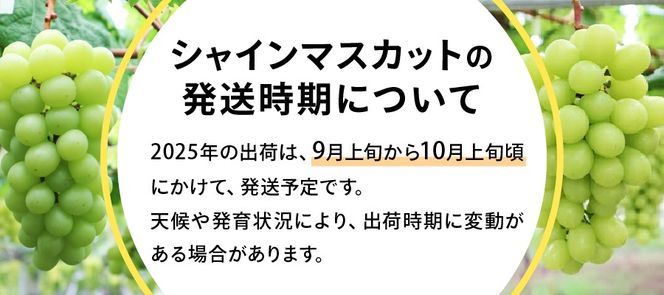 【2025年発送】【数量限定】【期間限定】産地直送 高級シャインマスカット2kg以上（3～4房）　フルーツ 山梨県産 シャインマスカット 果物 旬 数量限定 期間限定 先行予約 高級 2025年発送 山梨 富士吉田 フルーツ 富士吉田市