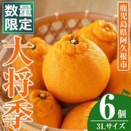 ＜先行予約受付中！2026年1月中旬以降順次発送予定＞数量限定！大将季 (6個・3Lサイズ) 柑橘 フルーツ 果物 国産 みかん 期間限定 不知火 しらぬい シラヌイ ミカン 【株式会社イロドリ】akn069-07