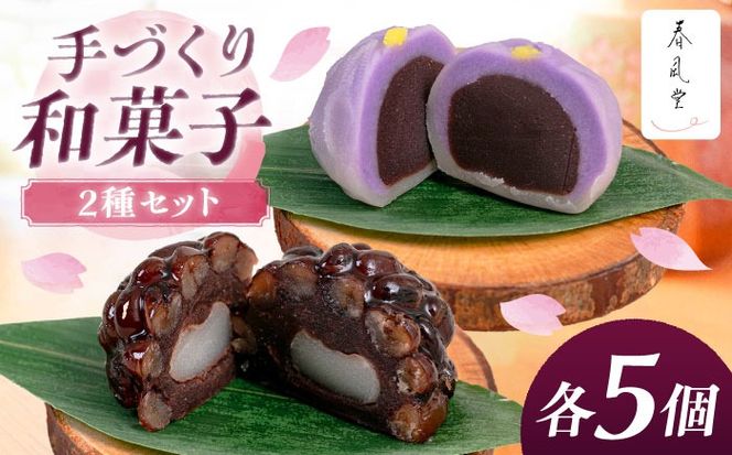 yꌧszaَq2Zbg (؂E̎q / e5) s / aَq t[BCCL008]