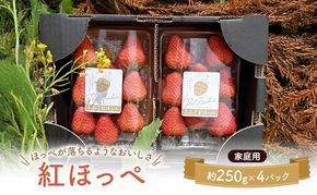大河原町のいちご 完熟いちご 4パック 果物 フルーツ 苺 紅ほっぺ かおり みずみずしい ジューシー 期間限定 季節限定 家庭用