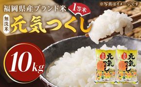 【先行予約】【令和7年産】福岡県産ブランド米「元気つくし」無洗米 10kg (5kg×2袋)【2025年11月以降順次発送】《築上町》【株式会社ゼロプラス】 [ABDD004]  
