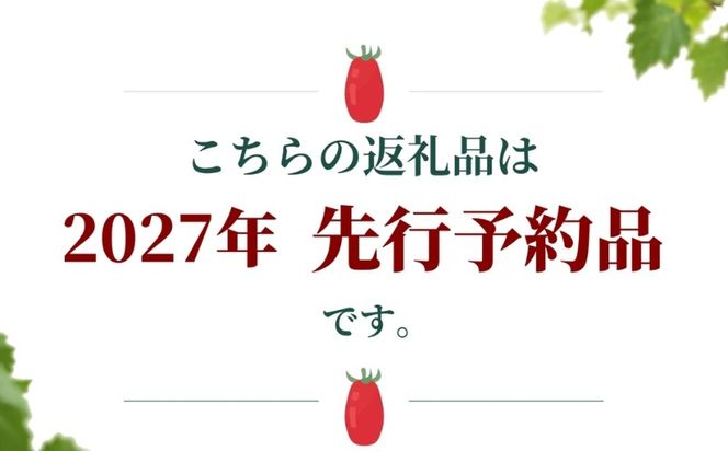 【2027年先行予約】山梨県都留市産 加熱用トマト サンマルツァーノ 約1kg