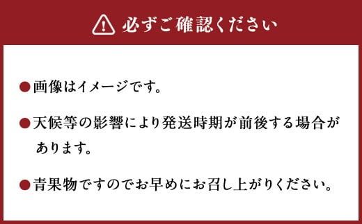 ＜宮崎県産完熟マンゴー 3L×2玉（約900g）＞2026年4月中旬～7月下旬までに順次出荷【c1393_mm_x1】 果物 くだもの フルーツ アーウィン マンゴー デザート 甘味 完熟 宮崎