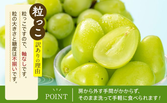 【2026年7月下旬以降発送】いずもぶどう 訳ありシャインマスカット（粒っこ）1kg見当 新鮮 甘い フルーツ 果物 322032_CG004
