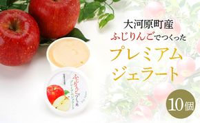 大河原町産ふじりんごジェラート10個セット ジェラート アイス りんご リンゴ 林檎 ふじ 菓子 お菓子 おやつ スイーツ デザート 宮城県 大河原町