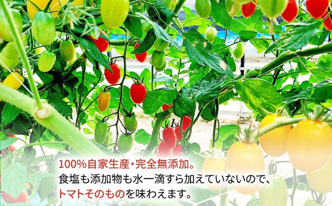 糖度平均9～10度！十勝 幕別産 ミニトマトジュース「自慢のトマトでつくりました。」赤1,000ml×1本・黄180ml×4本 セット［北海道ホープランド農場］食塩無添加【 トマト ミニトマト 飲料 野菜ジュース リコピン 北海道 十勝 幕別 】