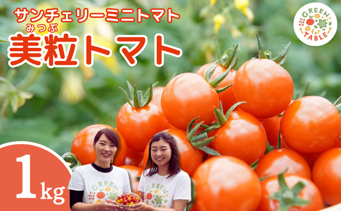 【 先行予約 】 美粒トマト ミニトマト サンチェリー 1kg 2026年7月発送 トマト 新鮮 採れたて フレッシュ 野菜 農家直送 1キロ 人気 おすすめ ギフト 贈答 プレゼント 福島県 田村市 田村 GREEN for TABLE