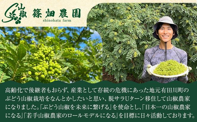 紀州ぶどう山椒【粉】 1袋 (6g) 篠畑農園 EW02