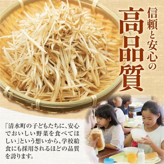 先行受付！2026年10月頃～発送開始！北海道十勝清水町産 秋堀り 新鮮 ごぼう！ 5kg 北海道産 ごぼう 土付ごぼう ゴボウ 根菜_S045-0003