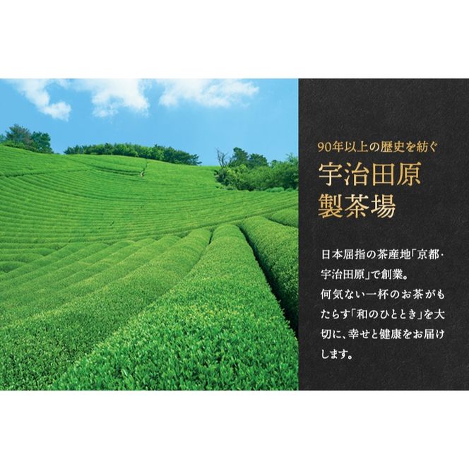 こいまろ茶3本入り(100g×3本)〈お茶 茶 緑茶 煎茶 宇治抹茶 宇治 深むし 深蒸し茶 若蒸し茶 玉露 モンドセレクション 金賞 まろやか 加工食品 飲料〉 