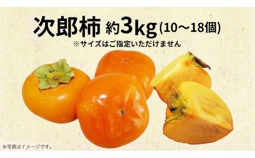 次郎柿 3kg 【2026年9月上旬発送開始】(茨城県共通返礼品：大子町) 柿 かき カキ 次郎柿 完全甘柿 秋の味覚 果物 フルーツ 旬