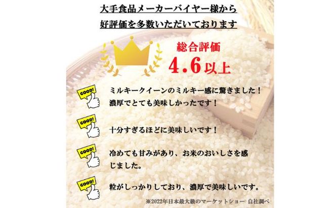 定期便 12ヶ月 ミルキークイーン 無洗米 2kg 令和7年産 米 お米 2キロ 12か月 1年 チャック付 チャック 小分け 少量 少量パック 白米 精米 産地直送 こめ コメ おこめ 送料無料 長野 長野県 小諸市 定期 12回