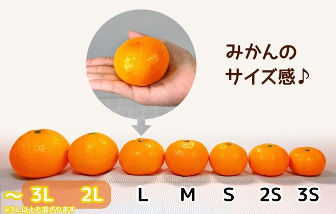 熟成 みかん とにかく 大玉 箱込5kg ( 内容量 4.4kg )2Lサイズ以上 秀品 優品 混合 有田みかん 和歌山産 産地直送 家庭用【みかんの会】 	AX342