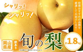 【先行予約】訳あり 旬の梨 約1.8kg 2~6玉前後 岡山県産 梨 訳あり 新高 愛宕 王秋梨 鴨梨 岡山 笠岡市《9月上旬-1月末頃に出荷予定》数量限定 梨 なし ナシ---kasaoka_zsy_49_18---