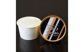 プレミアムジェラート ミルク・チョコ・抹茶3種セット 100ml×12個_V7138