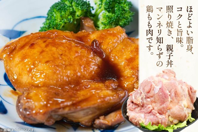 鶏肉 もも肉 未カット 1kg 3パック 計3kg 宮崎県産 冷凍 [アイフーズ 宮崎県 日向市 452061700] とり肉 鳥肉 モモ肉 もも肉 小分け 若鶏 宮崎