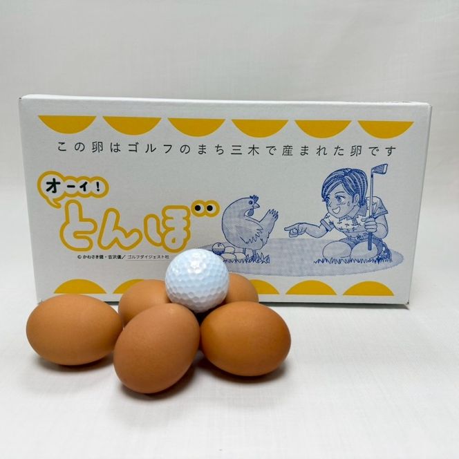 【オーイ！とんぼ×松田養鶏場コラボパッケージ】産地直送  松田養鶏場のひょうごの赤たまご60個（50個+割れ補償10個）