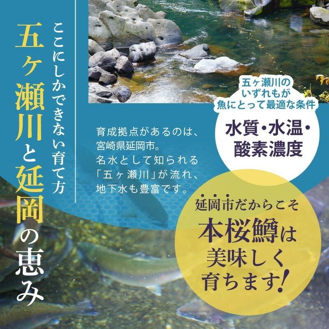 本桜鱒スモークサーモン3種食べ比べセット N0116-YA3363