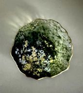 豆皿 口金ロック グラデーショングリーン ［NF164］ 303446_CU90077VC03