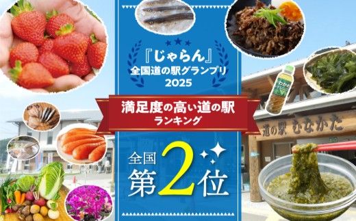 【定期便／年12回／毎月お届け】【道の駅むなかた】 旬のお野菜詰合せセット_HB0124