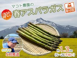 アスパラガス 先行予約 春アスパラガス 約1.3kg S～2L 約45本前後 訳あり 不揃い マコト農園 規格外 アスパラ グリーンアスパラ 野菜 春 旬 旬の野菜 産地直送 2026年 2026 予約 青森 冷蔵配送 5月6月発送