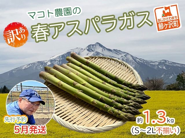 アスパラガス 先行予約 春アスパラガス 約1.3kg S～2L 約45本前後 訳あり 不揃い マコト農園 規格外 アスパラ グリーンアスパラ 野菜 春 旬 旬の野菜 産地直送 2026年 2026 予約 青森 冷蔵配送 5月6月発送