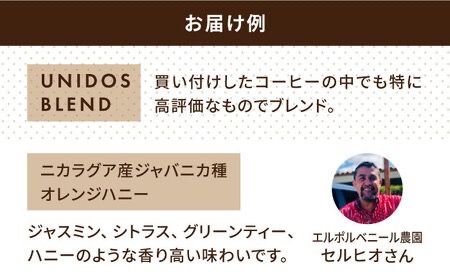 【全12回定期便】中煎り コーヒー 豆 ウニドスブレンド 250g × 2袋 ( 豆 ・ 粉 選べます ) 糸島市 / COFFEE UNIDOS [AQF023] 珈琲 カフェ コーヒー粉