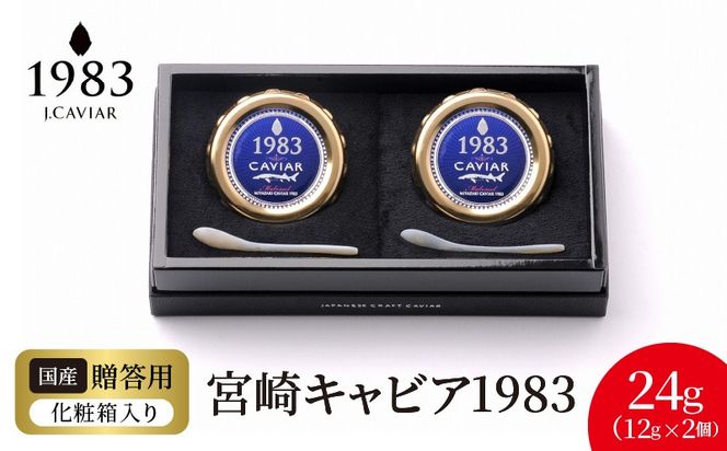 y{茧sz{LrA1983 (24g)  N027-YD0220