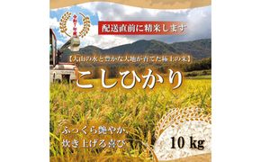 1805.令和7年産　こしひかり精米　10kg 313726_CH002